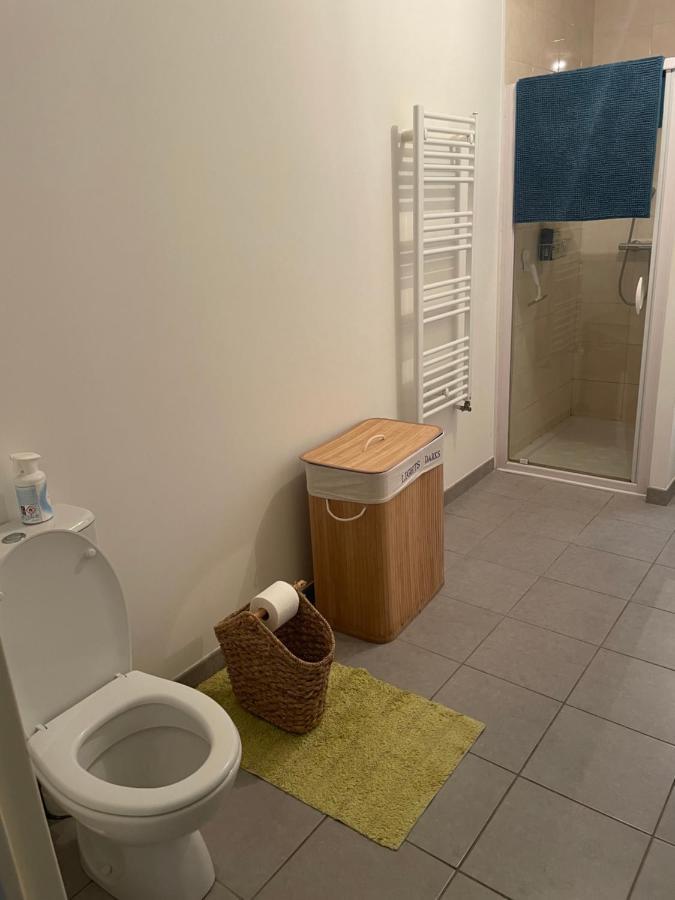 Appartement Avec Terrasse Proche De Rennes Saint-Jacques-de-la-Lande Eksteriør billede